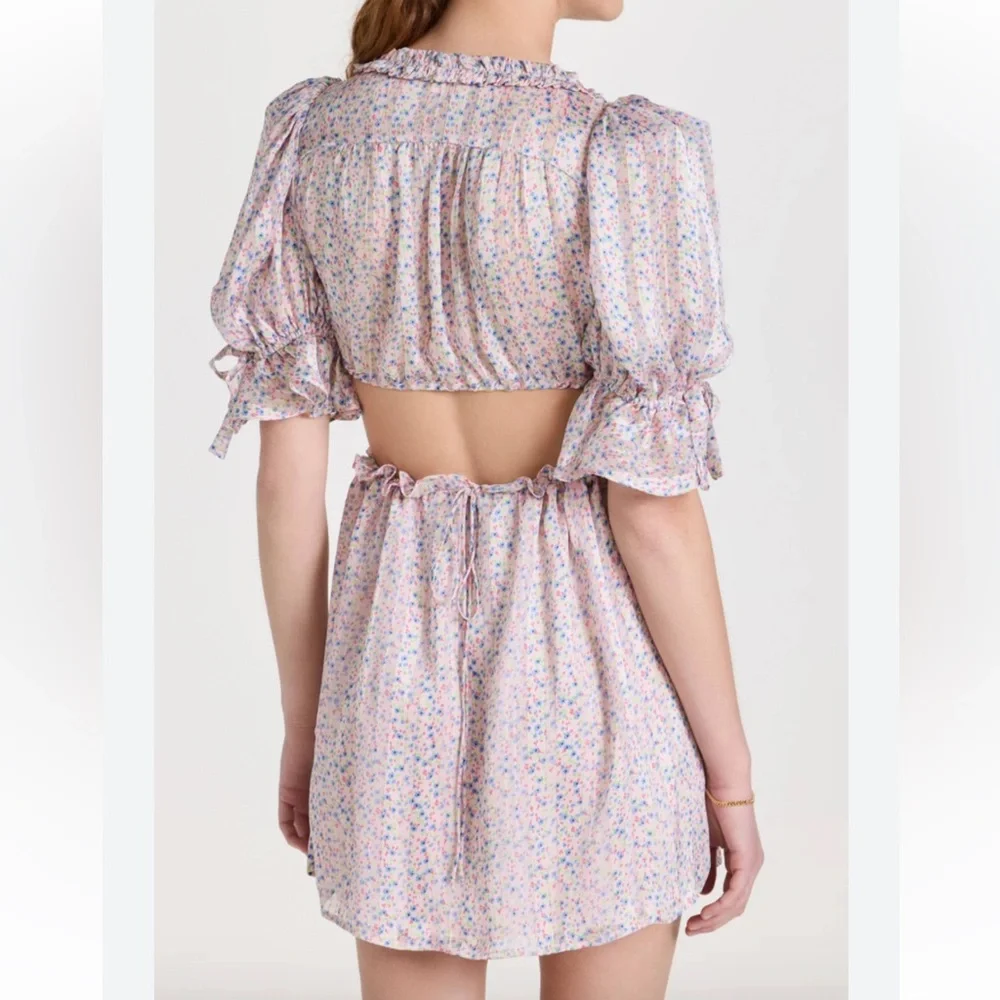 NWT PHOEBE FLORAL-PRINT CUTOUT SATIN CHIFFON MINI DRESS - Picture 4 of 5